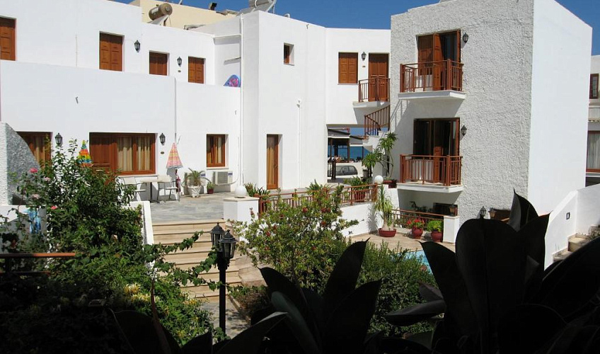 Картинка - 3