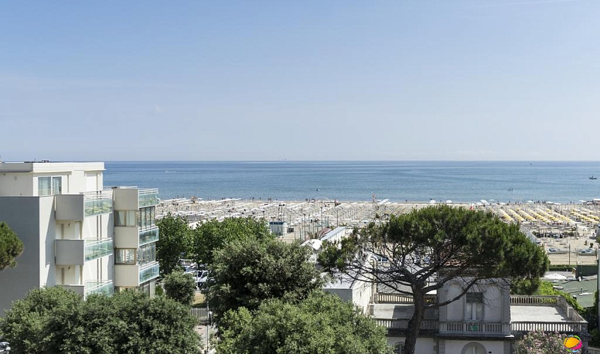 Картинка - 1