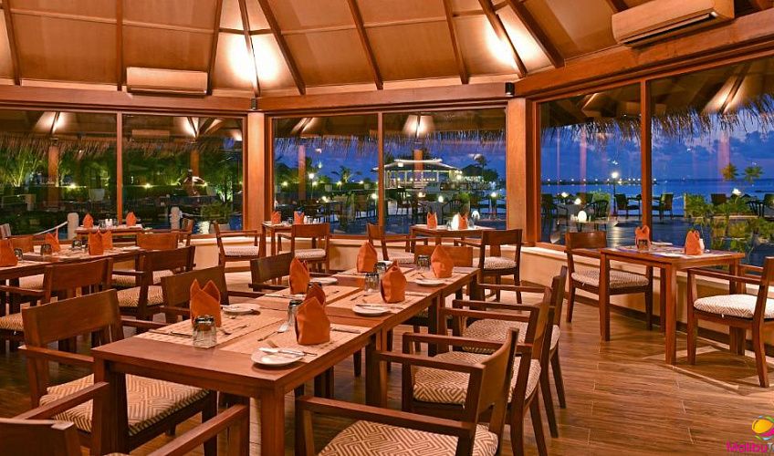 Картинка - 7