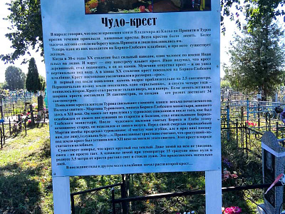 Картинка - 16