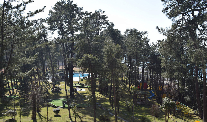 Картинка - 5