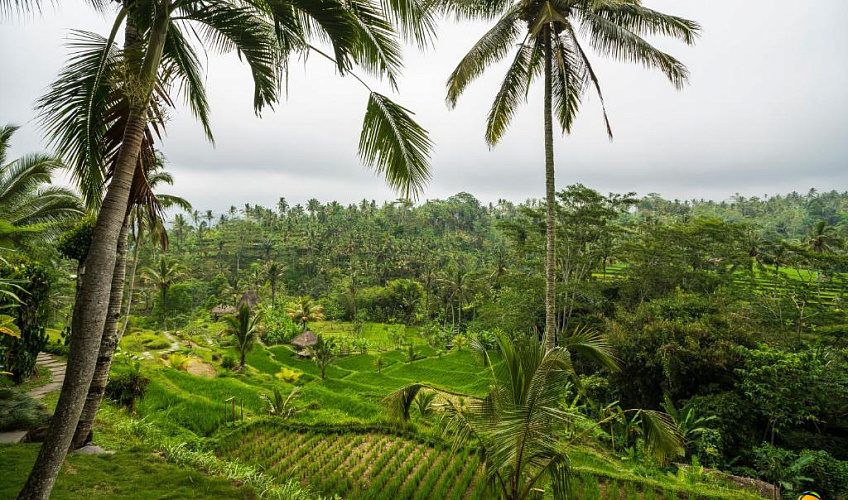 Картинка - 23