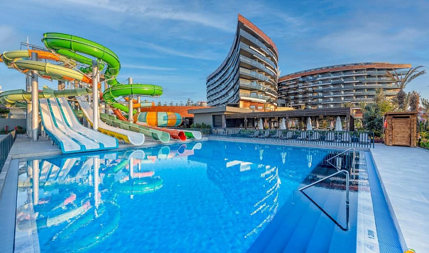 Картинка - 1