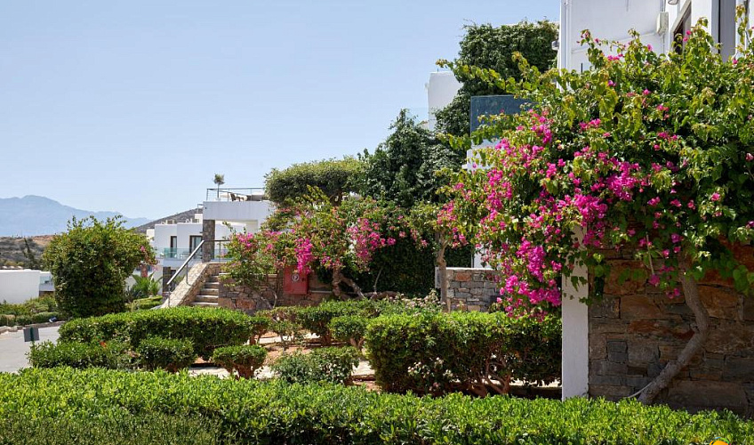 Картинка - 37