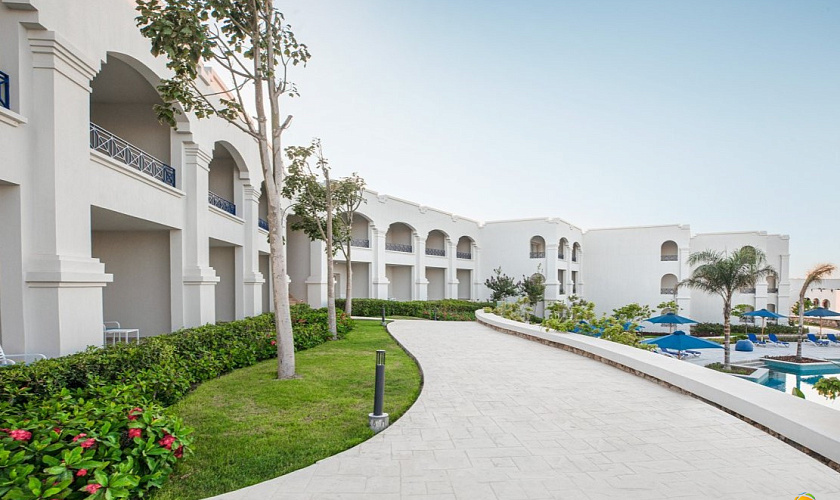 Картинка - 5