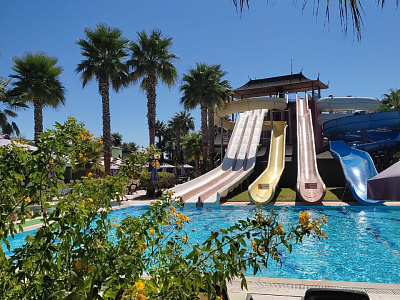 Картинка - 5