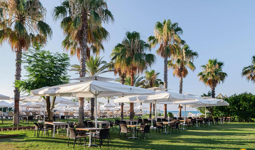 Картинка - 5