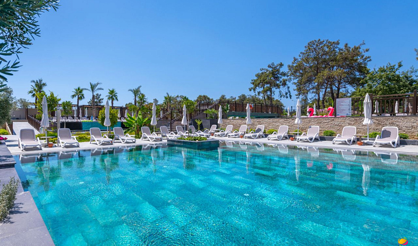 Картинка - 6