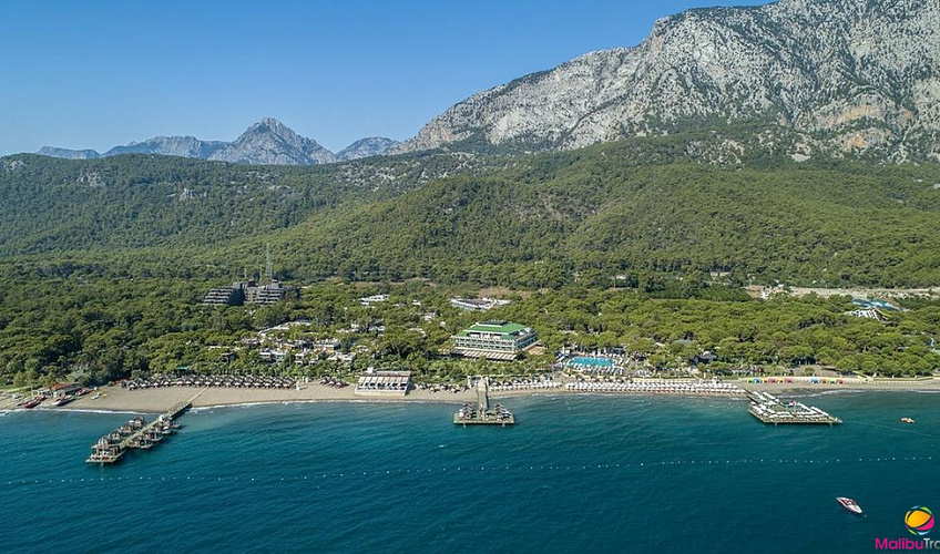 Картинка - 7