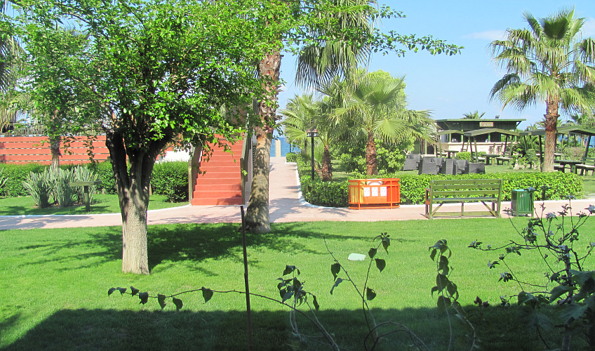 Картинка - 2