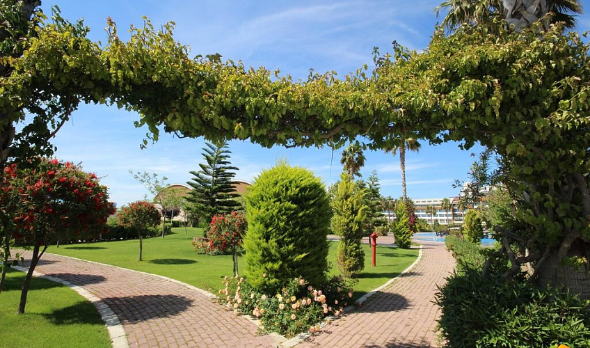 Картинка - 9