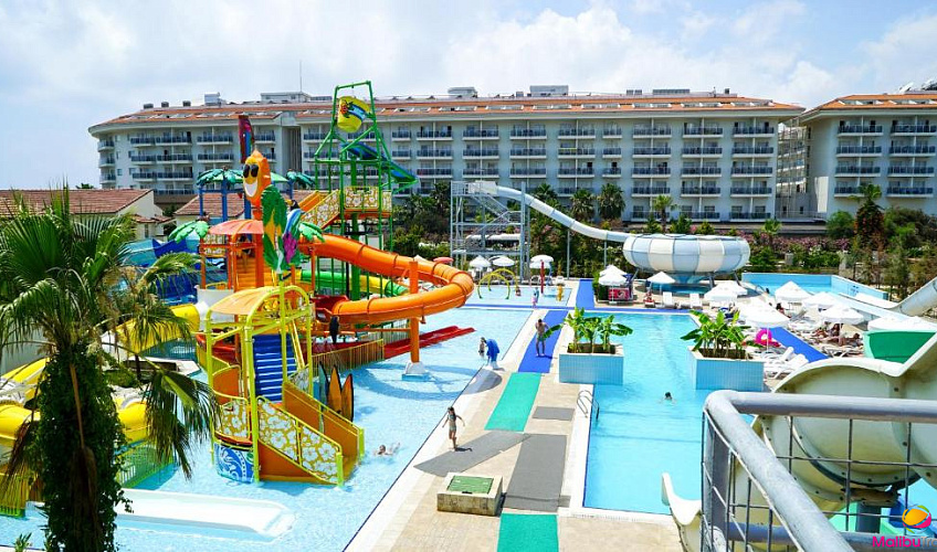 Картинка - 4