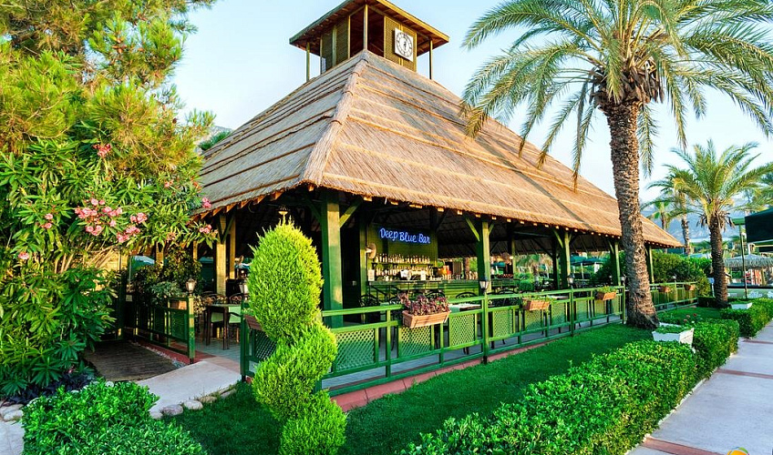 Картинка - 12