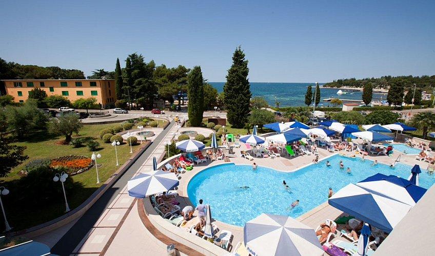 Картинка - 1