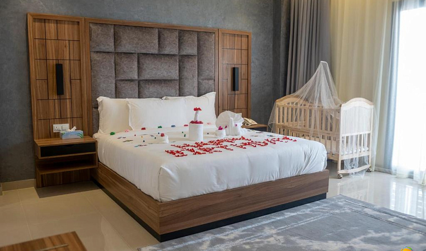 Картинка - 3