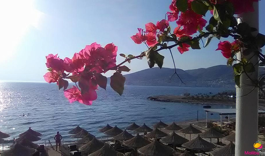 Картинка - 10