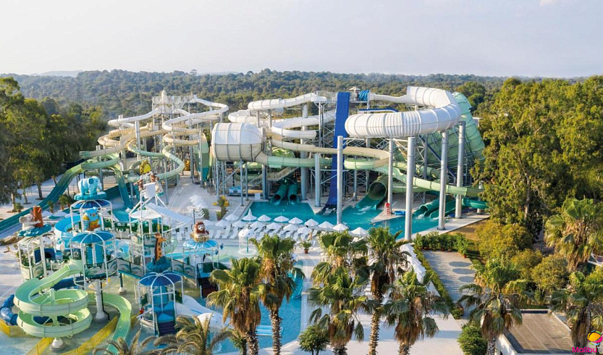 Картинка - 7