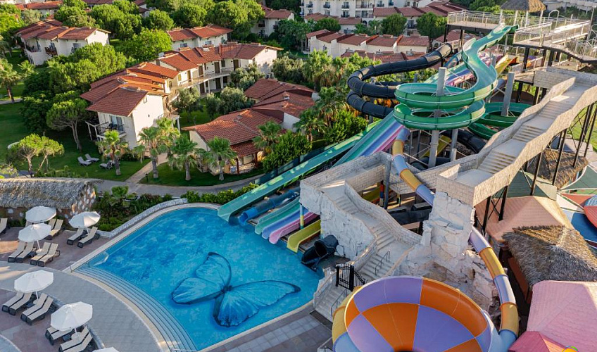 Картинка - 3