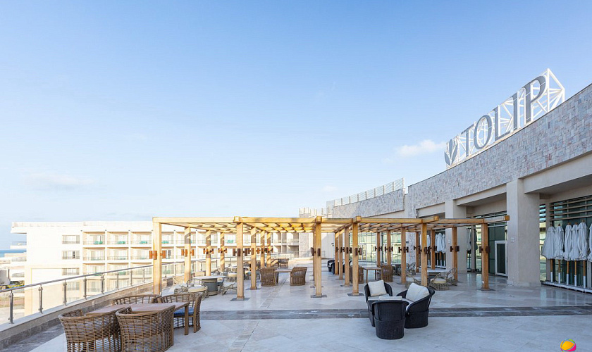 Картинка - 5