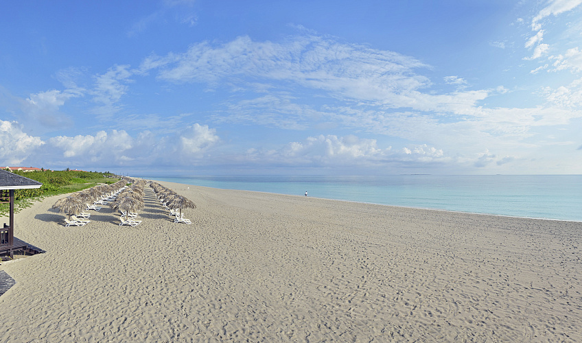 Картинка - 10