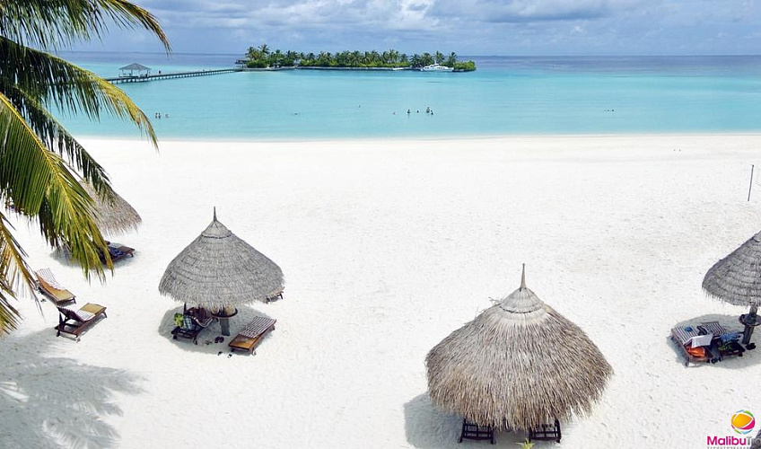 Картинка - 2