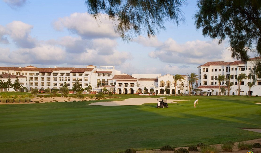 Картинка - 5