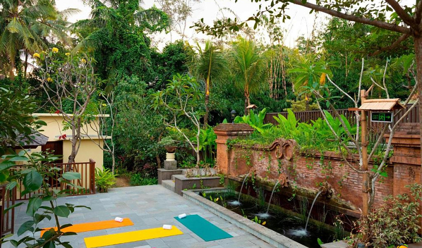 Картинка - 15